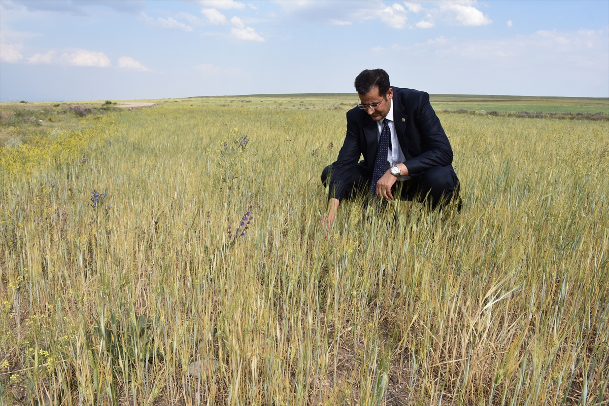 agri,-kars,-igdir-ve-erzurumdan-kuraklik-raporlari-aliyoruz-(11).jpg