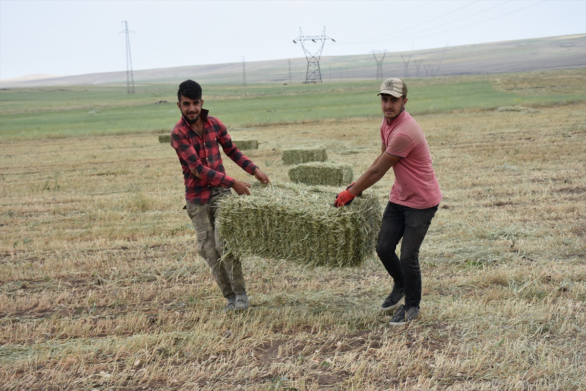 agri,-kars,-igdir-ve-erzurumdan-kuraklik-raporlari-aliyoruz-(5).jpg