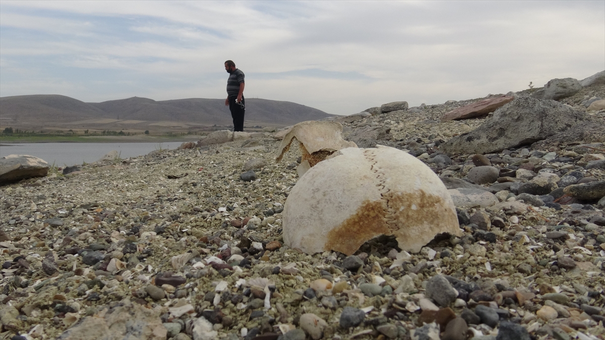 arpacay-barajinda-su-seviyesinin-dusmesiyle-urartu-mezarligi-ortaya-cikti-(1).jpg