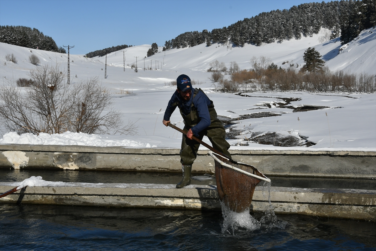 balik-ureticilerinin-zorlu-kis-mesaisi-(2).jpg