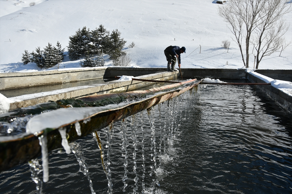 balik-ureticilerinin-zorlu-kis-mesaisi-(3).jpg