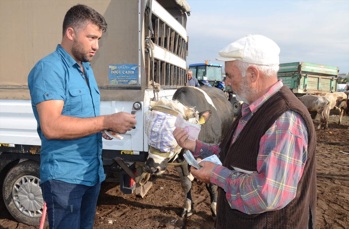 besicilerin-hayvan-pazarindaki-umutlu-bekleyisi-(1).jpg