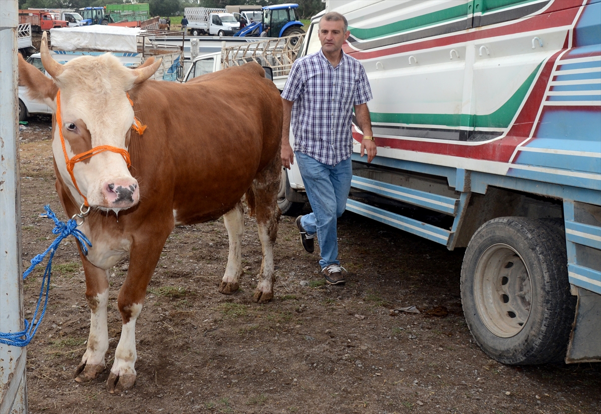 besicilerin-hayvan-pazarindaki-umutlu-bekleyisi-(2).jpg