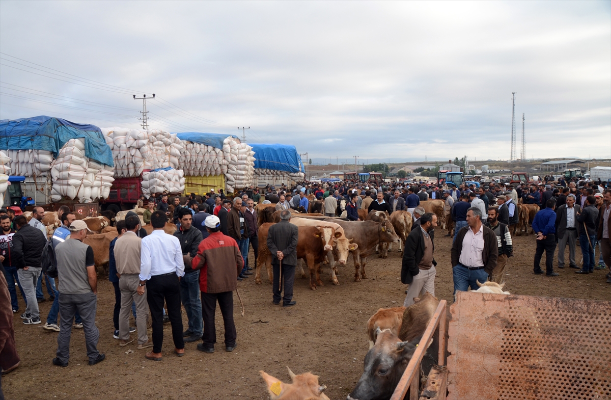 besicilerin-hayvan-pazarindaki-umutlu-bekleyisi-(6).jpg