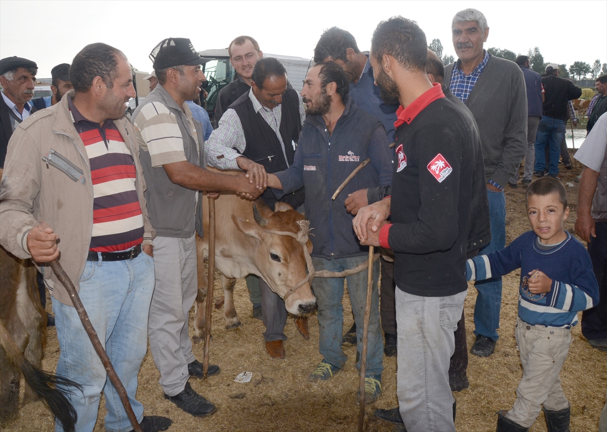 besicilerin-hayvan-pazarindaki-umutlu-bekleyisi-(8).jpg