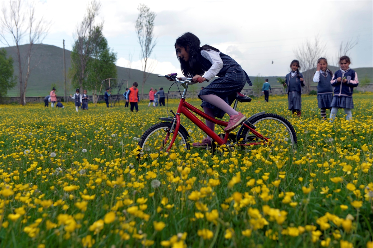 ciceklerin-arasinda-doga-dersi-(9).jpg