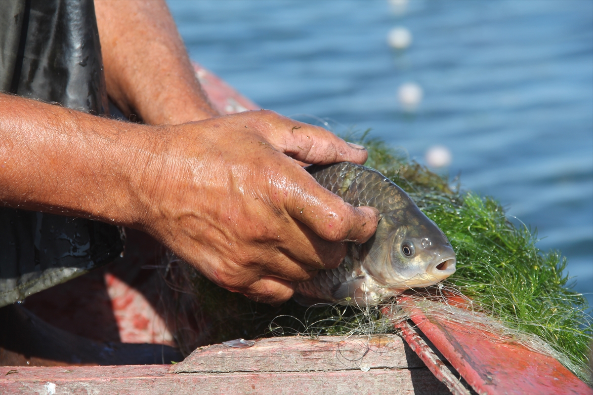 denizsiz-kentlerin-balikcilari-av-mesaisinde-(3).jpg