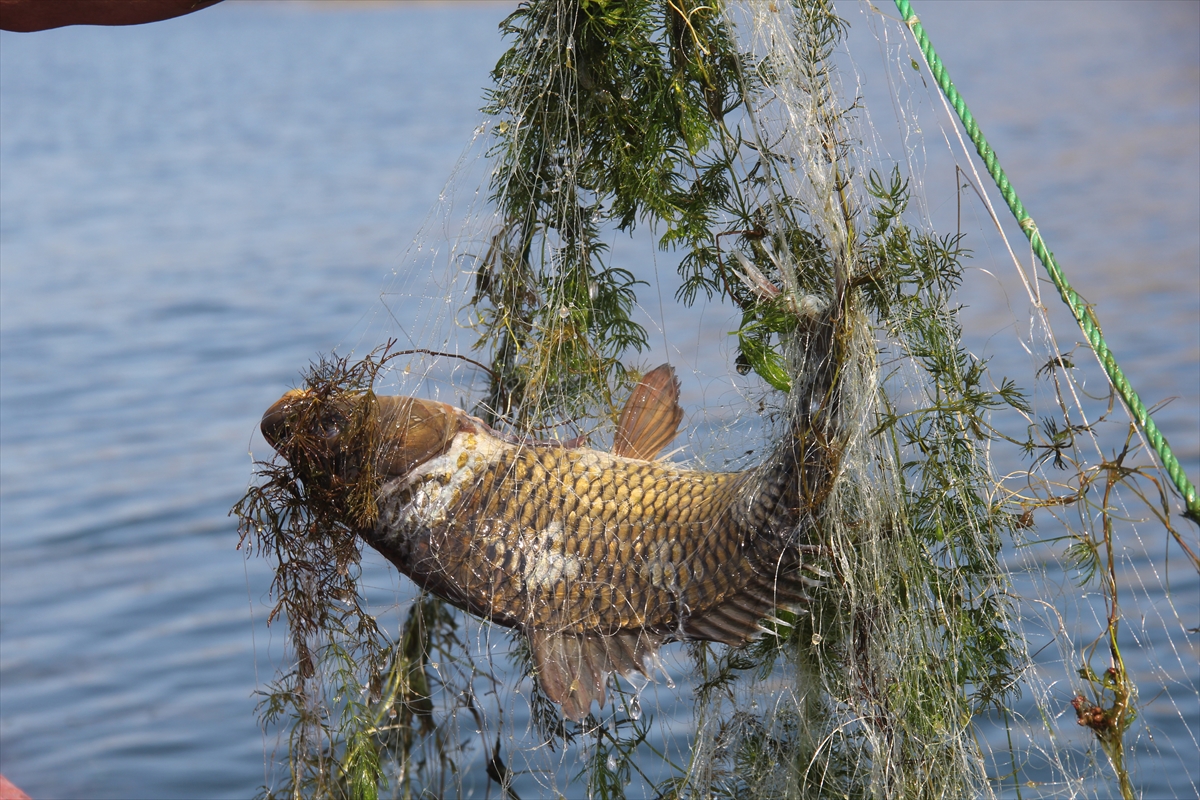 denizsiz-kentlerin-balikcilari-av-mesaisinde-(8).jpg