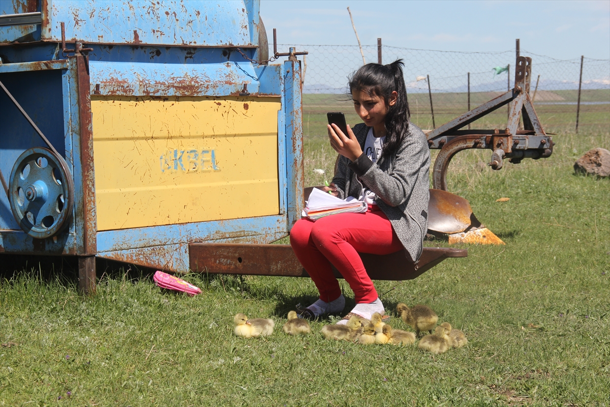 derslerini-kaz-ve-kus-sesleri-arasinda-ebadan-takip-ediyor-(5).jpg