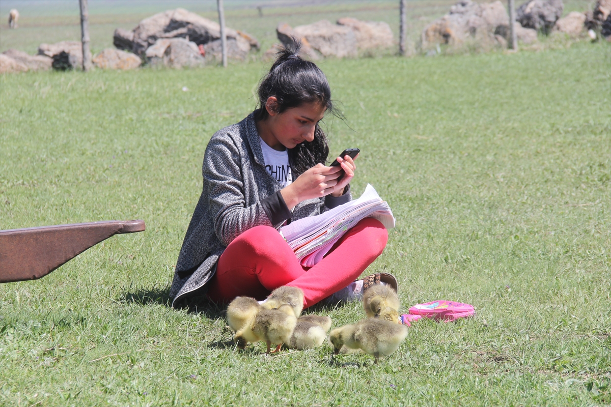 derslerini-kaz-ve-kus-sesleri-arasinda-ebadan-takip-ediyor-(6).jpg