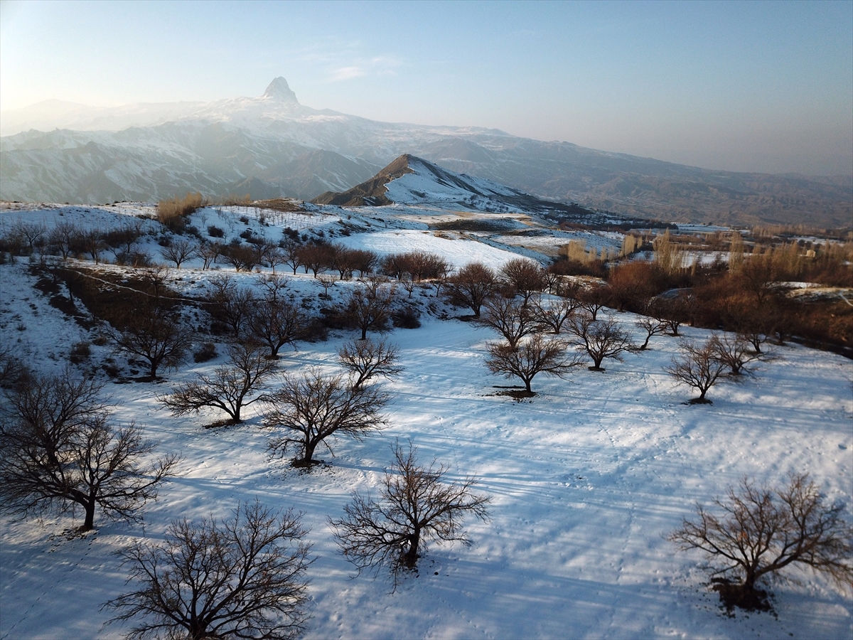 igdirin-kayisi-bahceleri-beyaza-burundu-(4).jpg