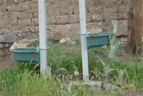 kagizman-belediyesinden-sokak-hayvanlari-icin-su-kabi-konuldu-(2).jpg