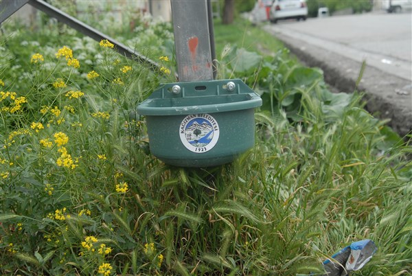 kagizman-belediyesinden-sokak-hayvanlari-icin-su-kabi-konuldu-(5).jpg