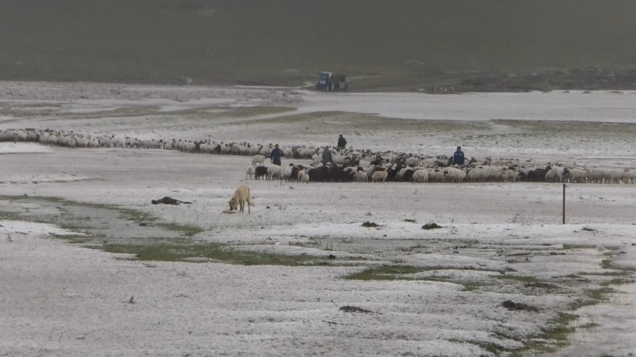 kars’ta-doludan-55-koyun-telef-oldu-(3).jpg