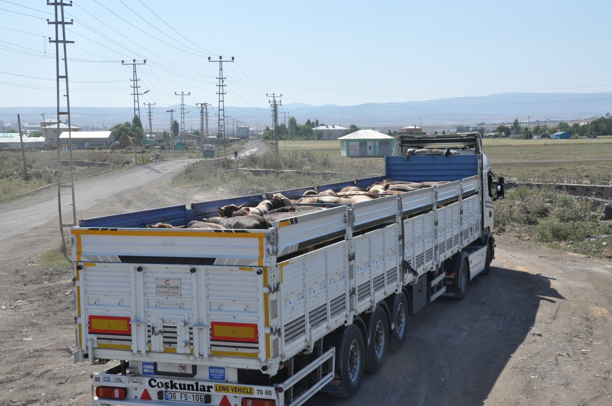 kars’tan-karadeniz’e-kurban-sevki-(5).jpg