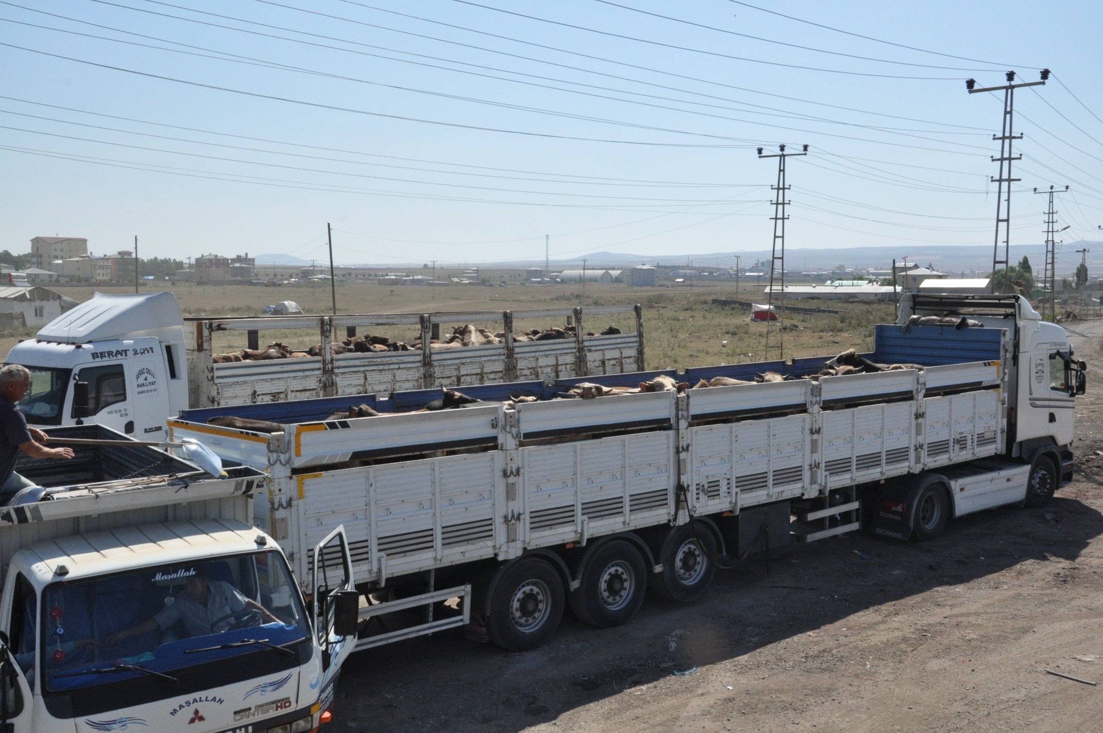 kars’tan-karadeniz’e-kurban-sevki-(7).jpg