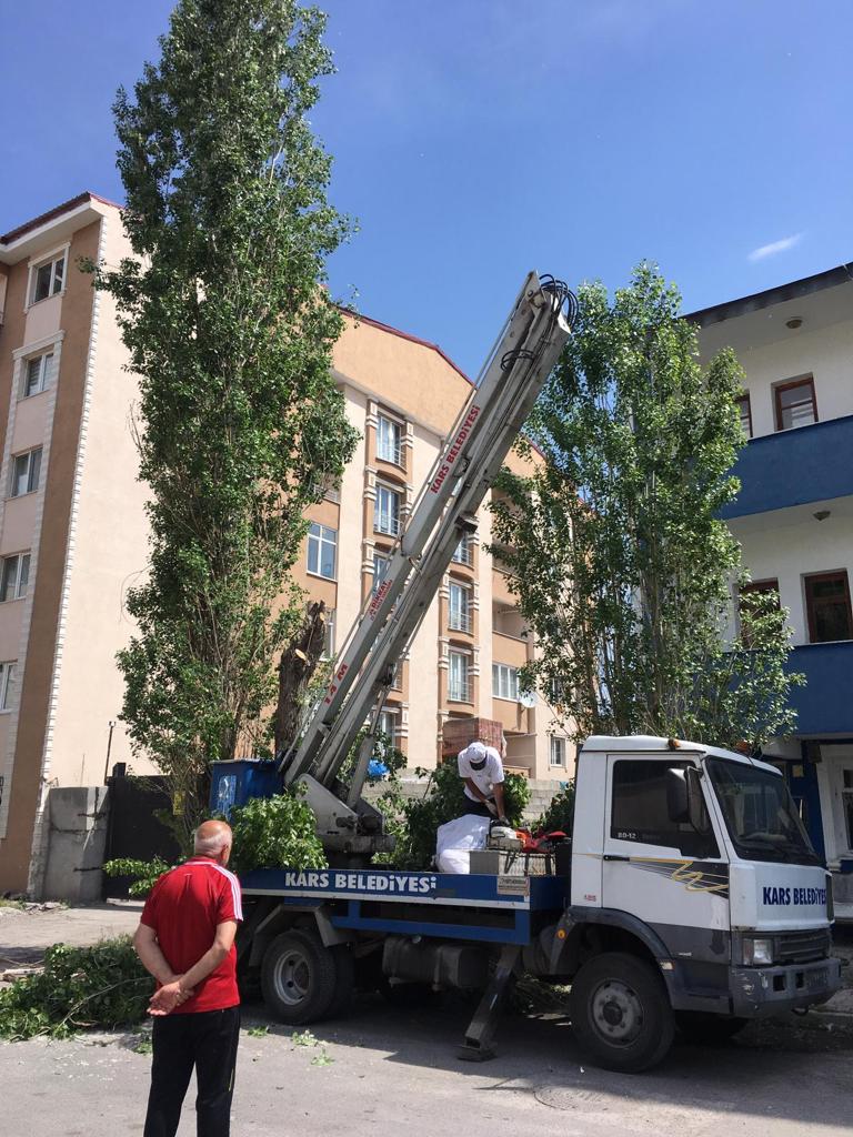 kars-belediyesi-polen-yayan-agaclari-kesiyor-(2).jpg