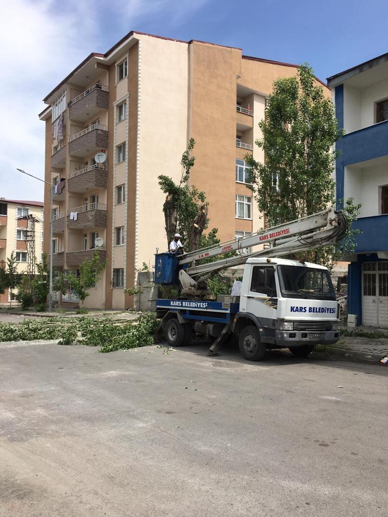 kars-belediyesi-polen-yayan-agaclari-kesiyor-(4).jpg