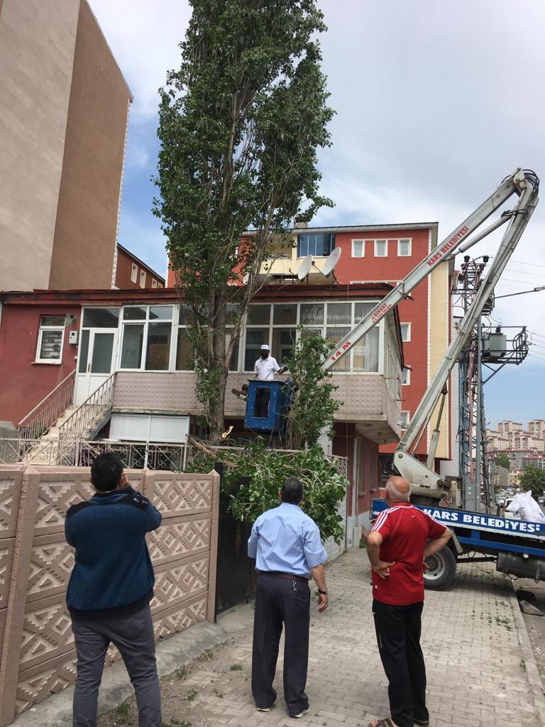 kars-belediyesi-polen-yayan-agaclari-kesiyor-(5).jpg