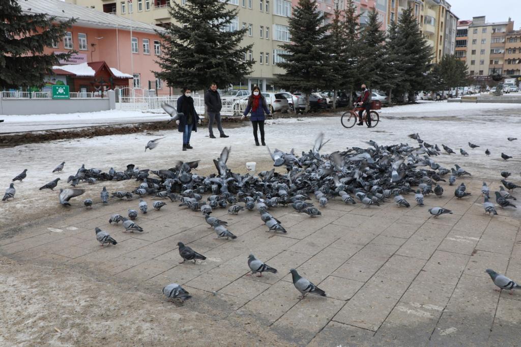 kars-belediyesi-sokak-hayvanlarini-unutmuyor-(2).jpg