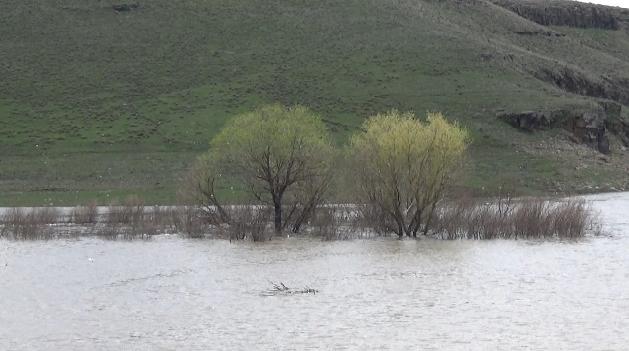 kars-cayi,-yagmur-ve-karin-erimesiyle-tasti-(2).jpg
