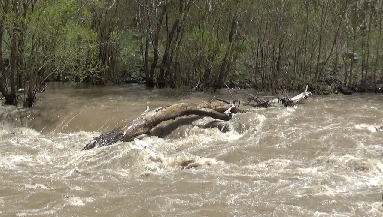 kars-cayi,-yagmur-ve-karin-erimesiyle-tasti-(3).jpg