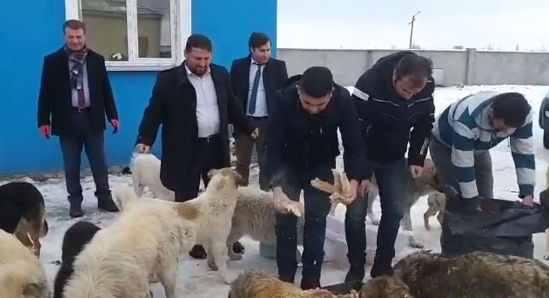 kars-il-muftulugunden-sahipsiz-hayvanlara-yardim-(1).jpg
