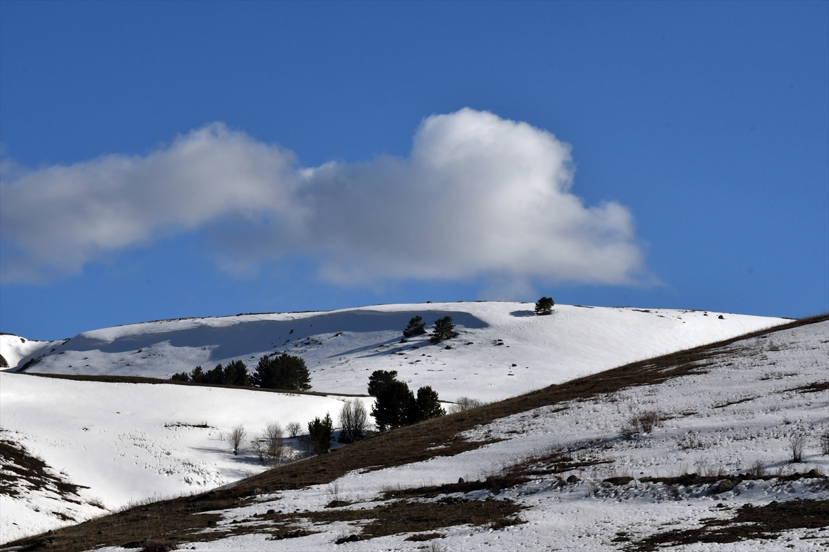 karsin-bir-yani-kar,-bir-yani-da-bahar-(1).jpg
