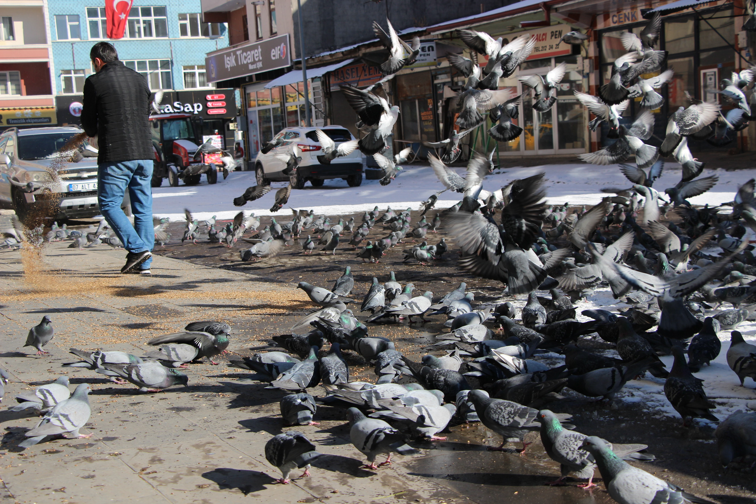 karsta--meydanlar-guvercinlere-kaldi-(1).jpg