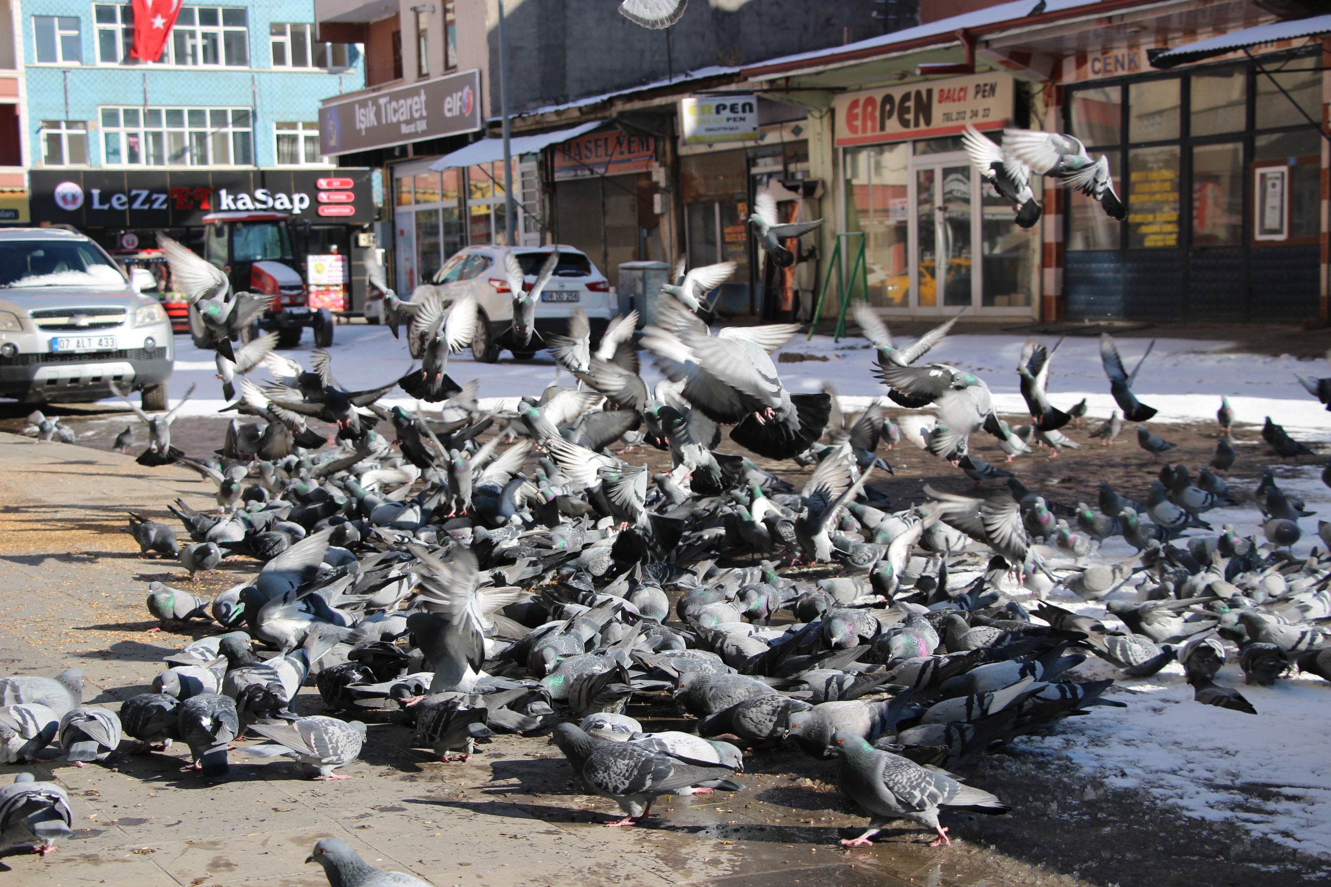 karsta--meydanlar-guvercinlere-kaldi-(5).jpg