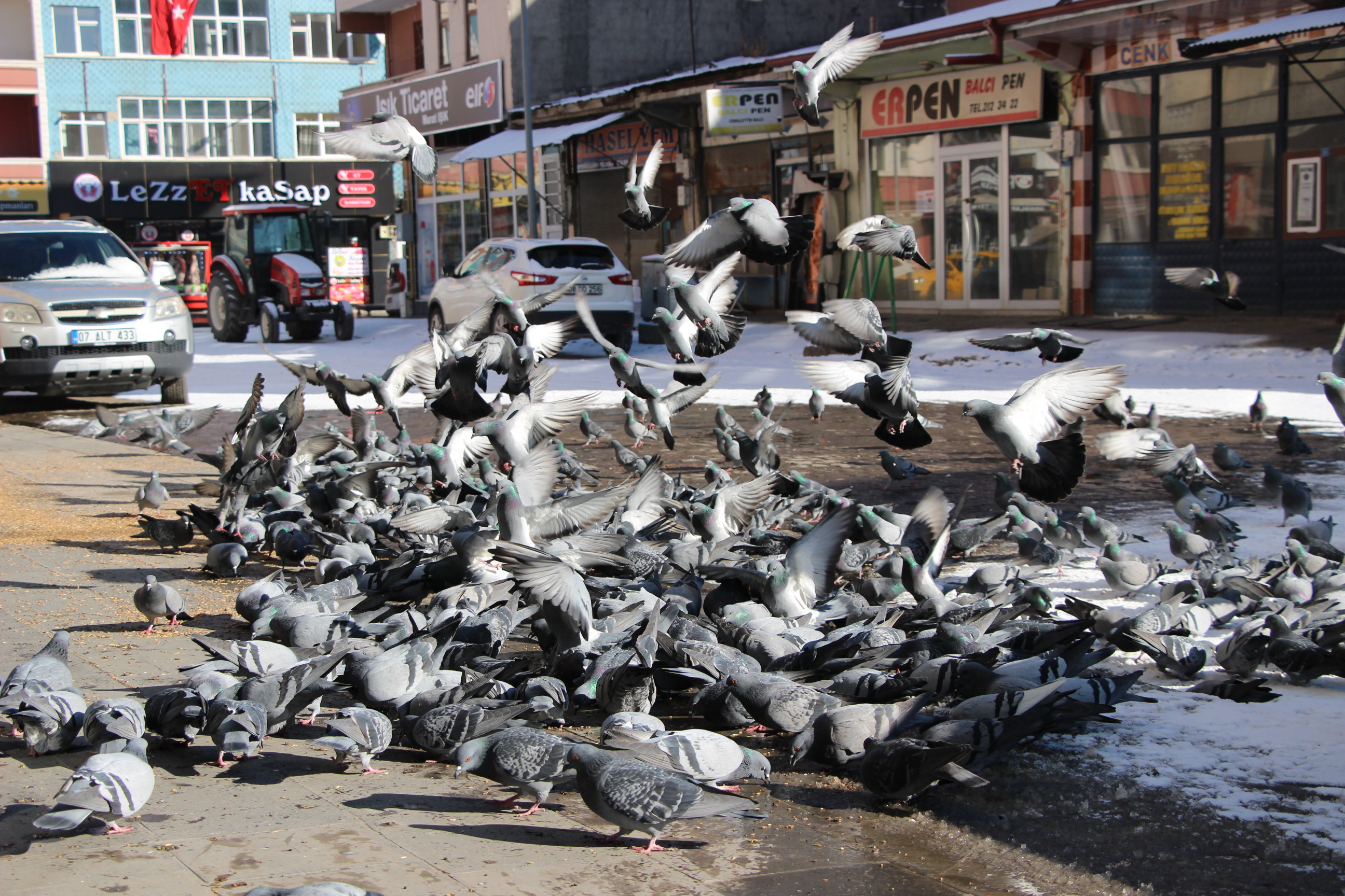 karsta--meydanlar-guvercinlere-kaldi-(7).jpg