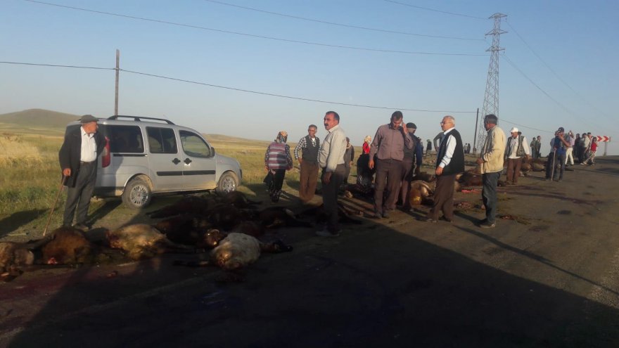 karsta-kamyonetin-carptigi-70-koyun-telef-oldu-(3).jpg