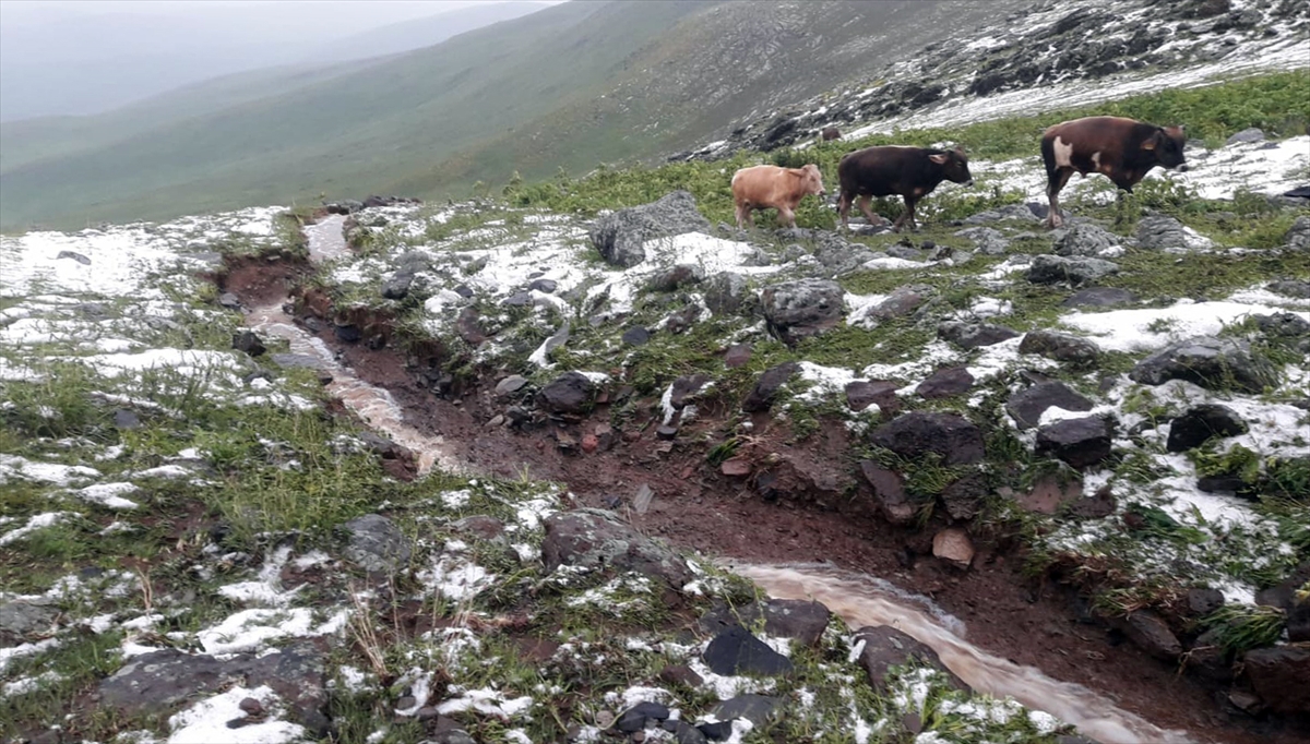 karsta-sel-nedeniyle-evler-zarar-gordu,-hayvanlar-telef-oldu-(4).jpg