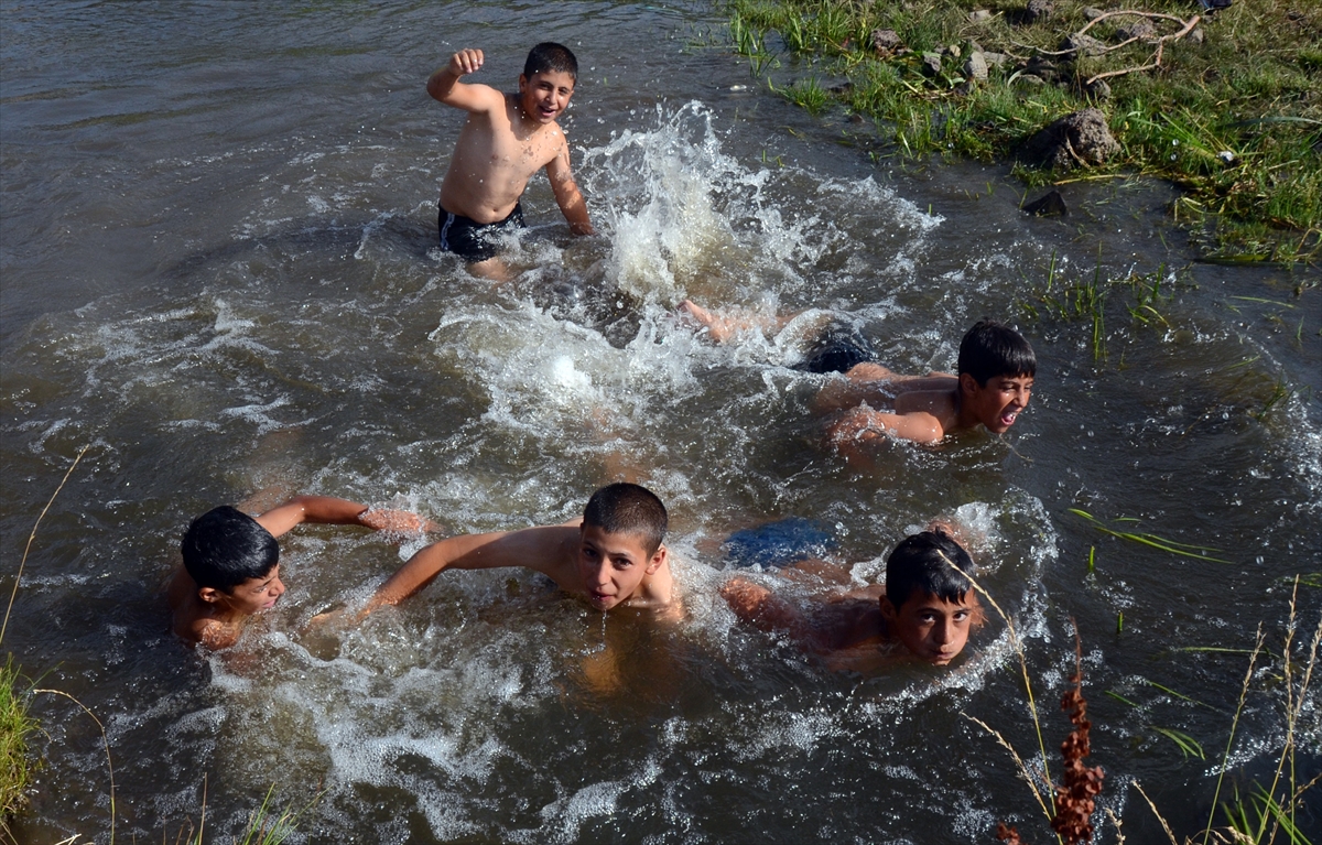 karsta-sicak-havada-dereye-girerek-serinlemeye-calisiyorlar-(4).jpg
