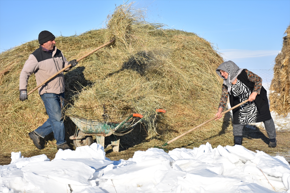 koydeki-besicilerin-zorlu-kis-mesaisi-(10).jpg
