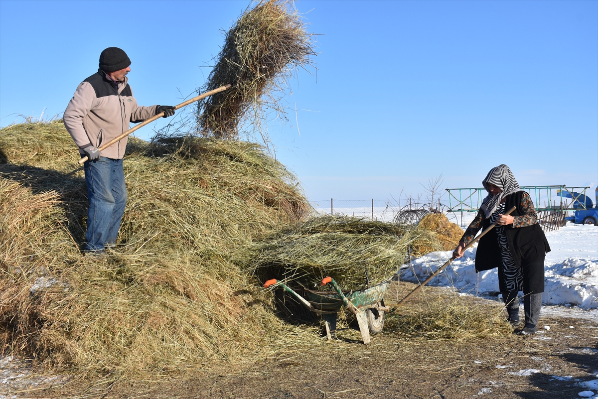 koydeki-besicilerin-zorlu-kis-mesaisi-(3).jpg