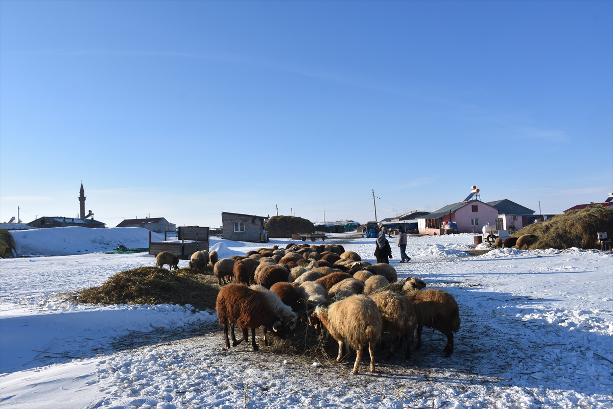 koydeki-besicilerin-zorlu-kis-mesaisi-(4).jpg