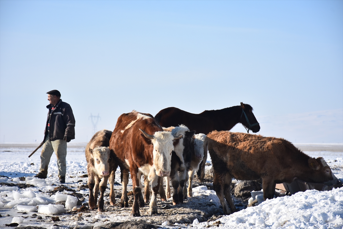 koydeki-besicilerin-zorlu-kis-mesaisi-(5).jpg