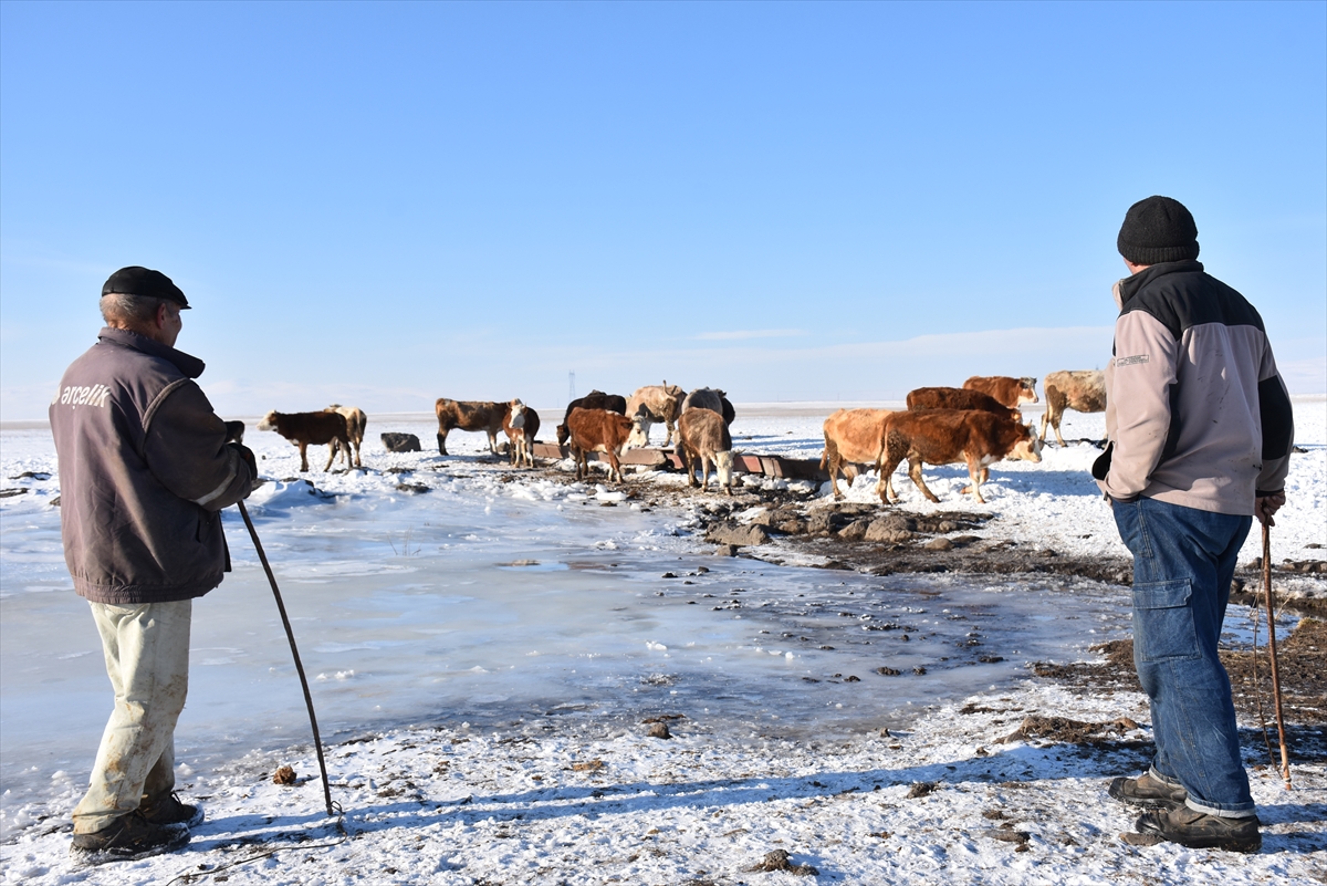 koydeki-besicilerin-zorlu-kis-mesaisi-(6).jpg
