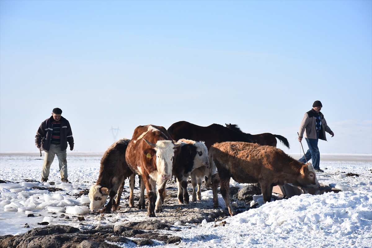 koydeki-besicilerin-zorlu-kis-mesaisi-(7).jpg