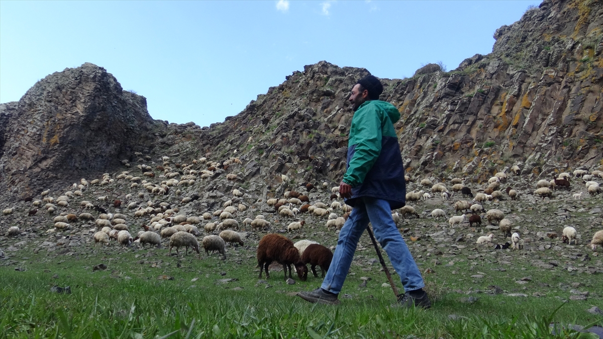 koyunlari-doyurmak-icin-oruclu-olmalarina-ragmen-saatlerce-merada-yuruyorlar-(1).jpg