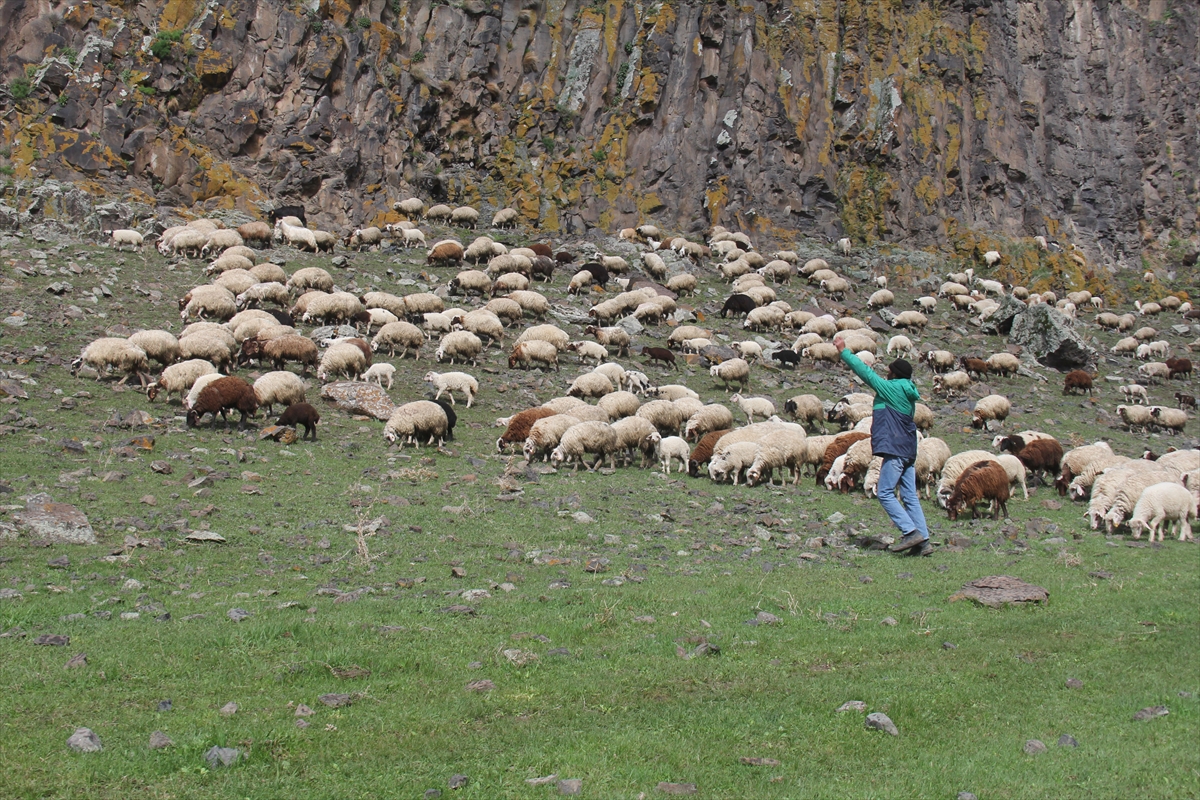 koyunlari-doyurmak-icin-oruclu-olmalarina-ragmen-saatlerce-merada-yuruyorlar-(6).jpg