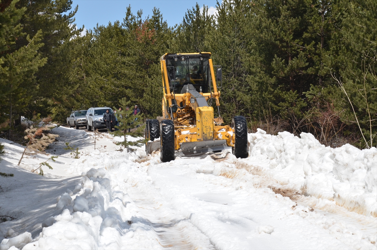 saricam-ormanlarinda-karla-mucadele-calismasi-mayis-ayinda-da-suruyor-(1).jpg