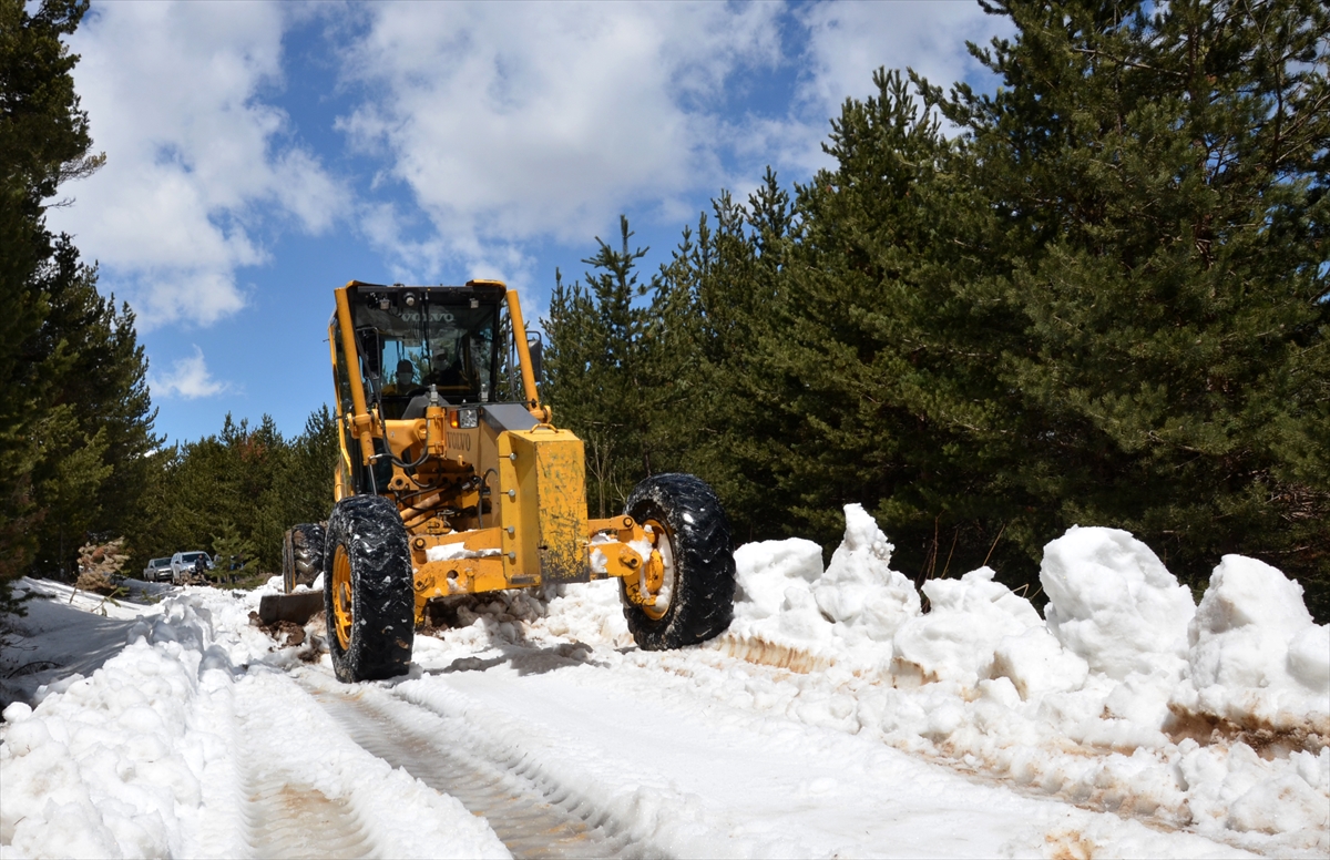 saricam-ormanlarinda-karla-mucadele-calismasi-mayis-ayinda-da-suruyor-(2).jpg