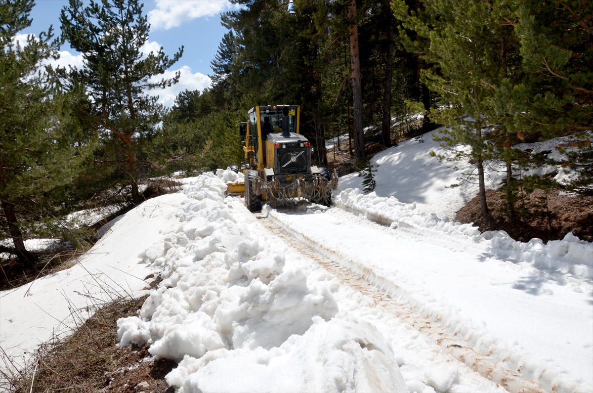 saricam-ormanlarinda-karla-mucadele-calismasi-mayis-ayinda-da-suruyor-(3).jpg