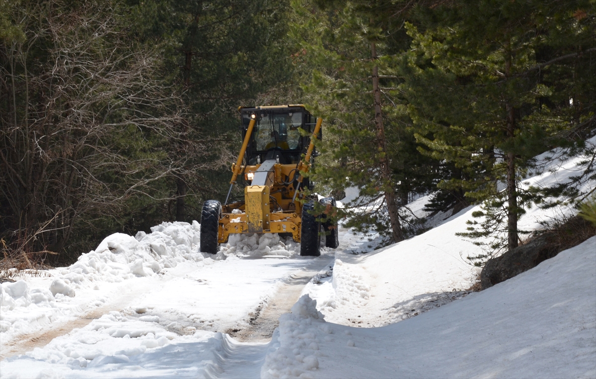 saricam-ormanlarinda-karla-mucadele-calismasi-mayis-ayinda-da-suruyor-(4).jpg