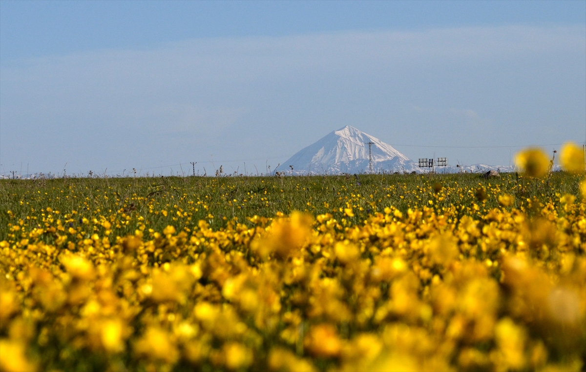 sarikamis’ta-bahar-tum-guzellikleriyle-yasaniyor-(7).jpg