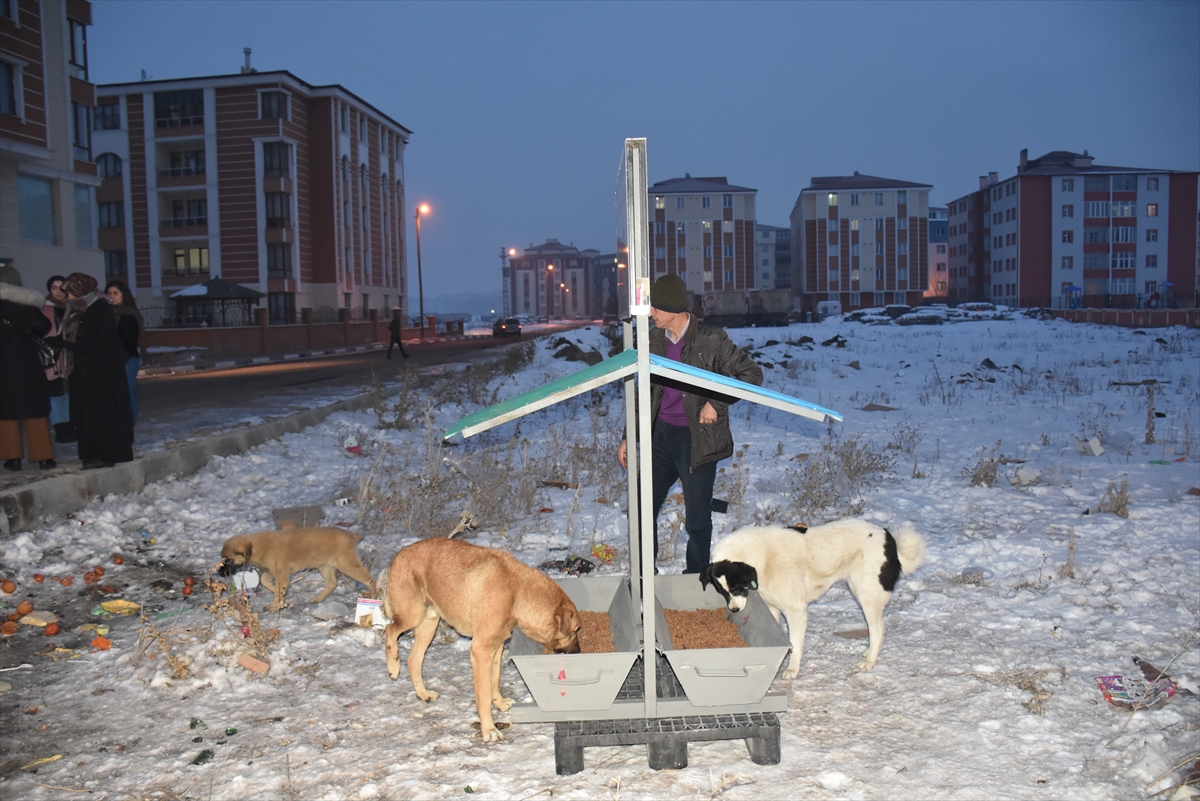 soguk-patiler-sokak-hayvanlari-icin-seferber-oldu-(1).jpg