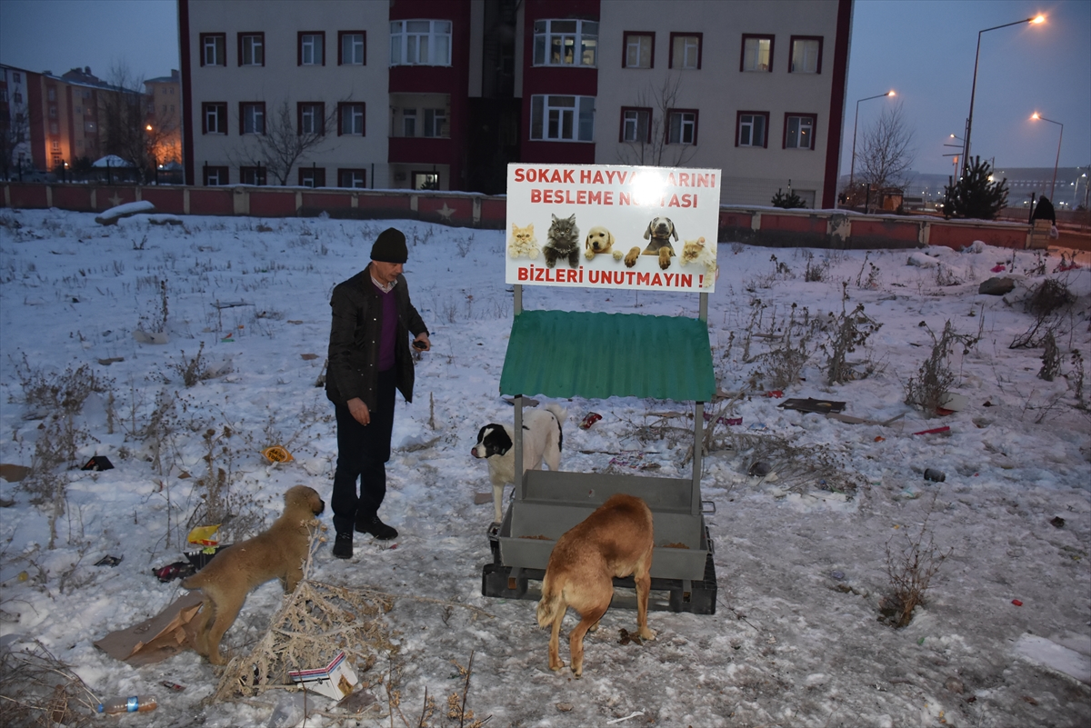 soguk-patiler-sokak-hayvanlari-icin-seferber-oldu-(5).jpg