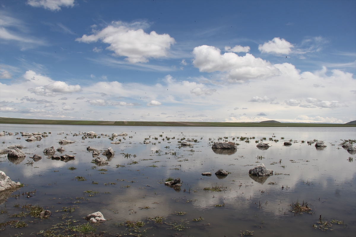 tamamen-kuruyan-kuyucuk-golu-can-suyu-ile-yeniden-kus-cenneti-oldu-(8).jpg